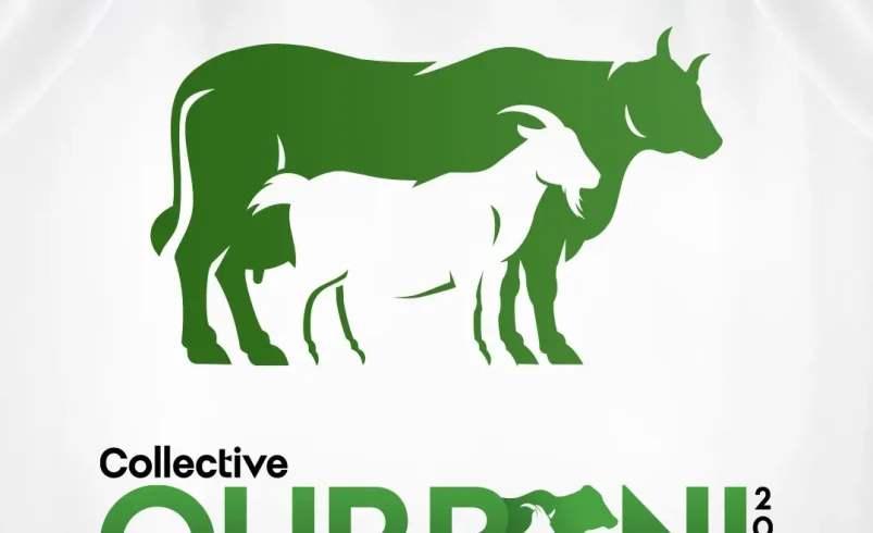 Qurbani 2026: Share the Blessings with Saylani Welfare International Trust